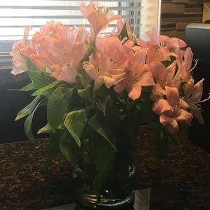 Meet your Posher, Alejandra